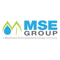 MSE Group Logo