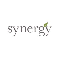 Synergy Enterprises Logo