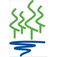 FOUR-FOREST Bilingual International School Logo