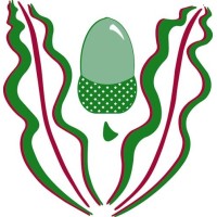 Highlands School Logo
