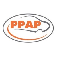 PPAP Automotive Ltd Logo
