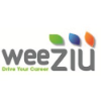WEEZIU Logo