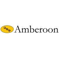 Amberoon Inc. Logo