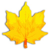 Prompt InfoTech Coimbatore Logo