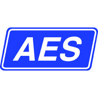 American Eagle Systems, Inc Logo