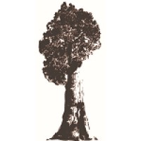 Sequoia Mortgage LLC Logo