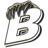 Bradley Central High School Logo