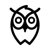 Wyse Home Team Realty Logo