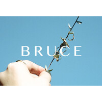 BRUCE Logo