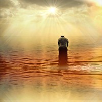 Nilsson Online Distribution Logo