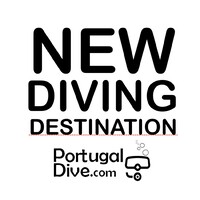 Portugal Dive Logo
