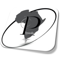 Phezulu Procurement Enterprises Logo