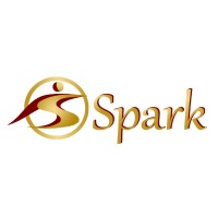 Spark for Software Solutions Logo