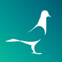 Pidgeon & Co. Logo