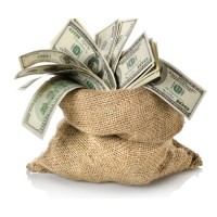 Where Your Money Went Logo