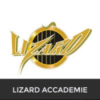 Accademie Musicali LIZARD - sede Firenze Castello Logo