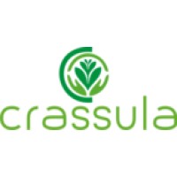 Crassula Group Logo
