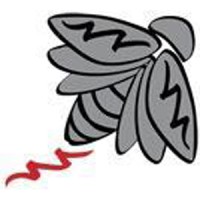 Firefly IT PC Logo