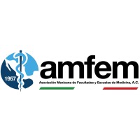 AMFEM Logo