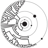 SAGANet Logo