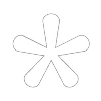 Silver Lining Bikinis Logo