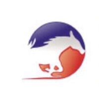 Mustang Southern Capital Logo