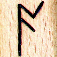 Thors Oak Kindred Logo