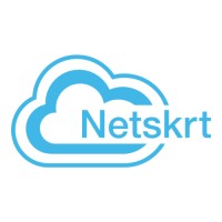 Netskrt Systems Inc. Logo