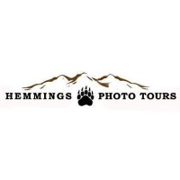 Hemmings Photo Tours Logo