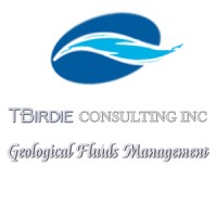 TBirdie Consulting Logo
