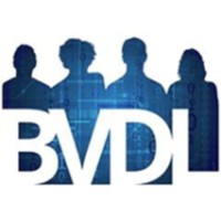 BVDL Consultancy Logo