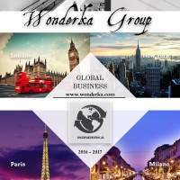 Wonderka Group (华栋集团) Logo