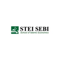 STEI SEBI Logo