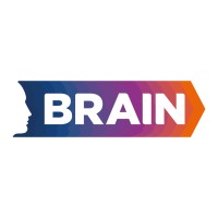 Brain Research Logo