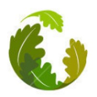 KLS Financial Services Logo