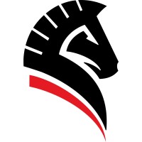 Castro Roofing of Texas Logo
