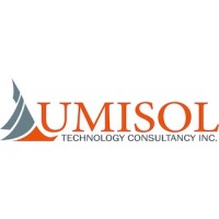 Lumisol Technology Consultancy Logo