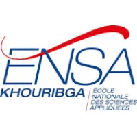Ecole Nationale des Sciences Appliquées Logo