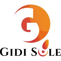Gidi Sole Ltd. Logo