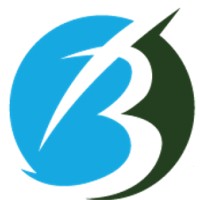Brisk Dynamics Limited Logo