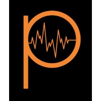 Picture Perfect Technologies Logo