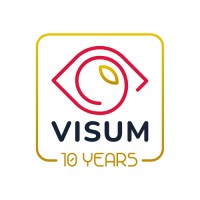 VISUM summer school Logo