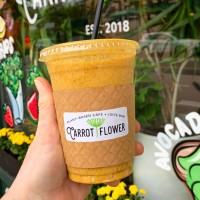 Carrot Flower Logo