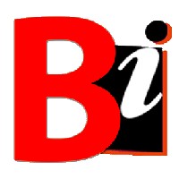 Burhani Infosys Ltd Logo