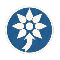 Pontic Technology Logo