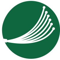 Pemiscot Dunklin Fiber Logo