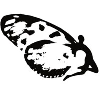 Scenarios LLC Logo