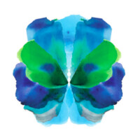 Jack Pijl and Associates Logo