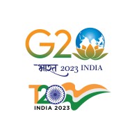 T20 India Logo