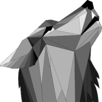 WOLF CONSULTING Logo
